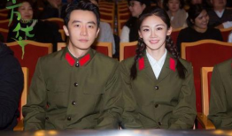 芳华电视剧,青春岁月里的梦想与奋斗