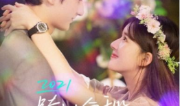 爱情青春电视剧大全,那些年我们一起追过的美好时光